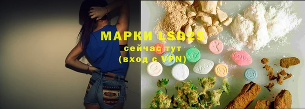 шишки Анива