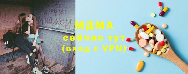 индика Ладушкин