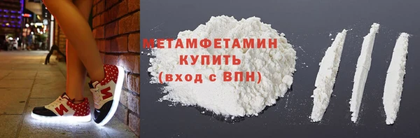 индика Ладушкин