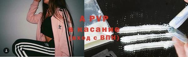 индика Ладушкин
