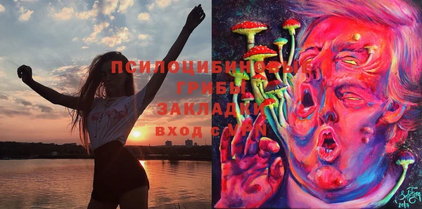 индика Ладушкин