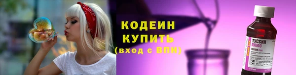 индика Ладушкин
