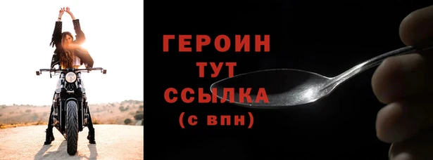 индика Ладушкин