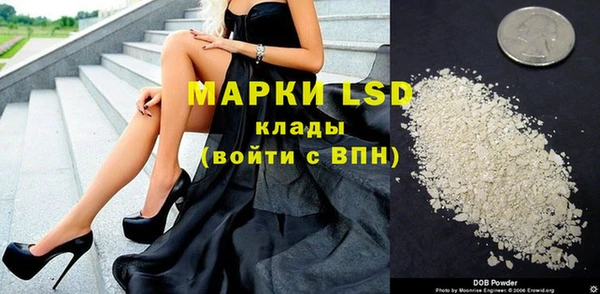 индика Ладушкин