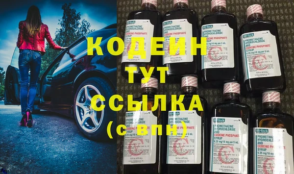 индика Ладушкин