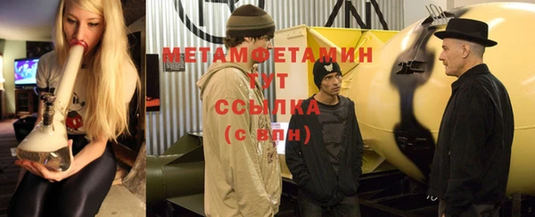 индика Ладушкин